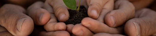 Growing Together: The Benefits of Gardening for Kids and Families