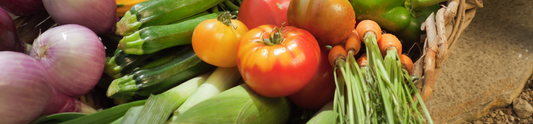 What to Plant in Summer + Gardening Tips to Kick Off the Growing Season