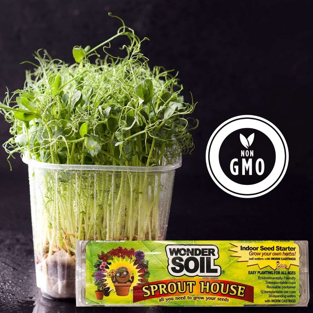 Reusable Sprout House - Microgreens Indoor Seed Starter