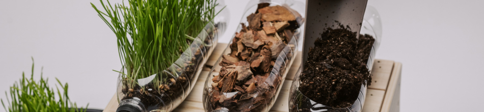 How to Be Sustainable in Gardening: Tips for an Eco-Friendly Garden