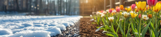 What You Can Do in the Garden During Winter (Even If You Can’t Plant Yet)
