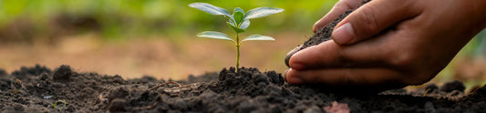 Embracing Wonder Soil: Redefining Agriculture Through Revolutionary Soil Innovation