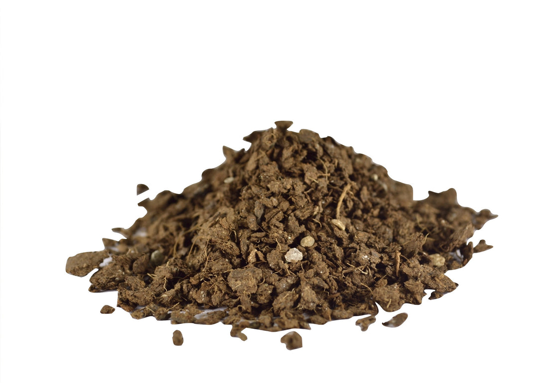 Wonder Soil Coir the Foundation of a Healthy and Productive Lawn and Garden
