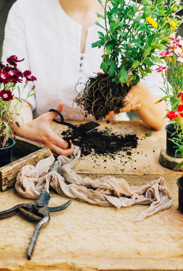Premium Organic Potting Soil Mix With Nutrients – Wonder Soil