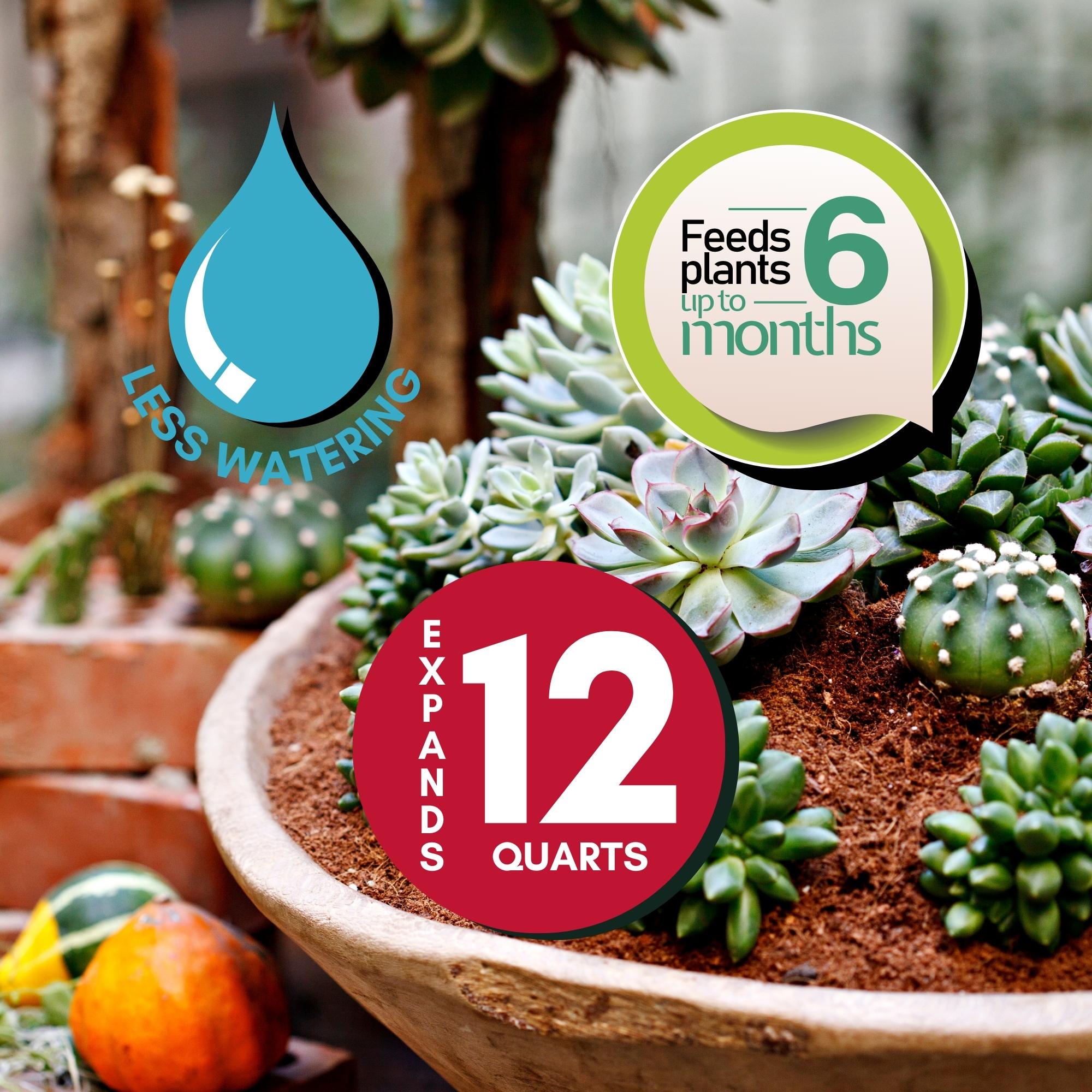 Top Potting Soil In The USA – Wonder Soil