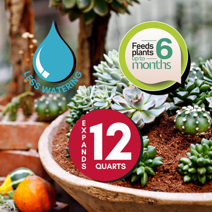 Cactus & Succulent Mix & Premium Organic Potting Soil Combo