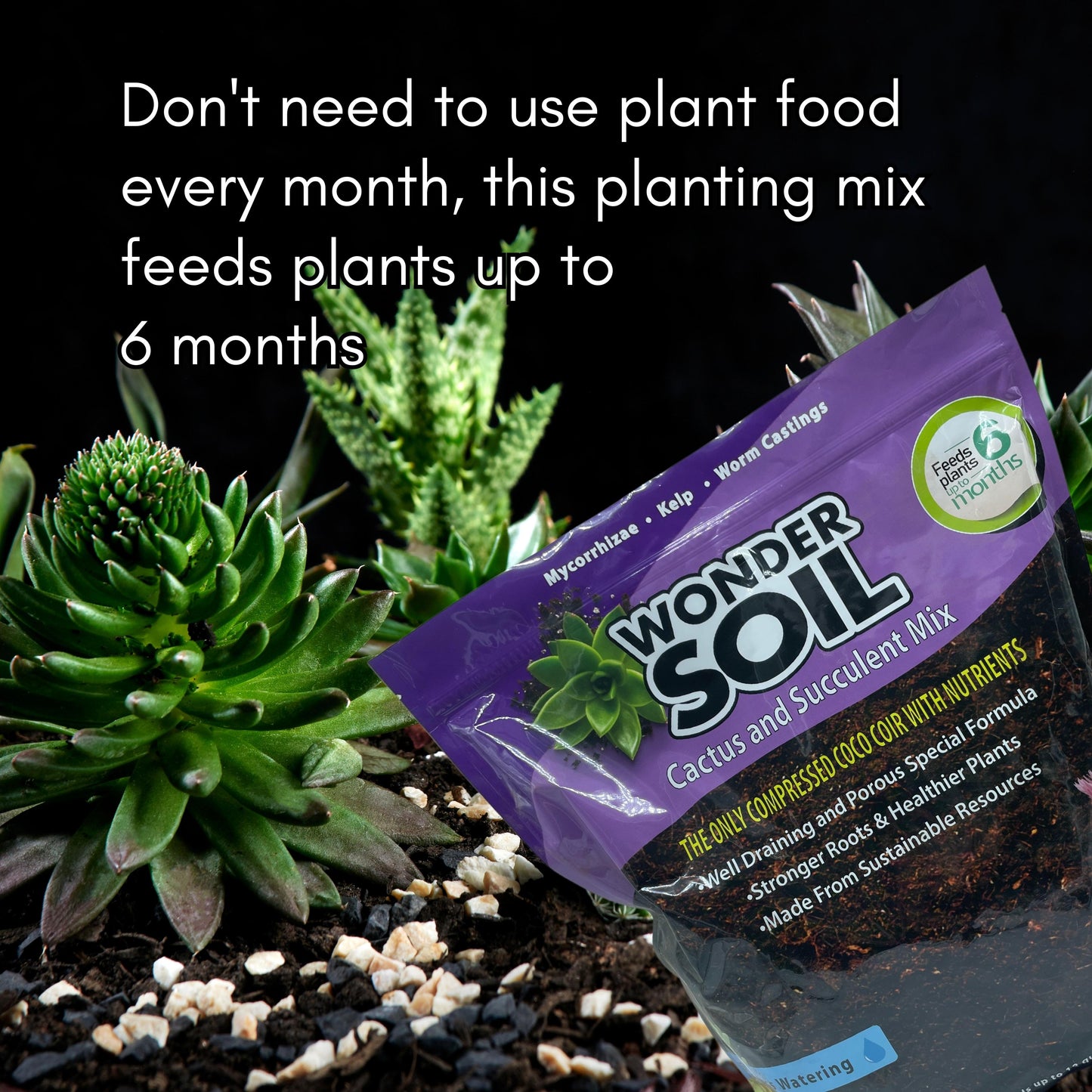 Cactus & Succulent Mix & Premium Organic Potting Soil Combo
