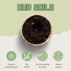 Premium Organic Potting Soil Mix With Nutrients – Wonder Soil