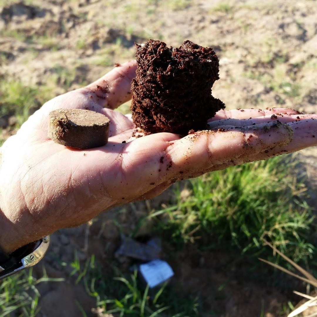 Seed Starter and Garden Soil Combo