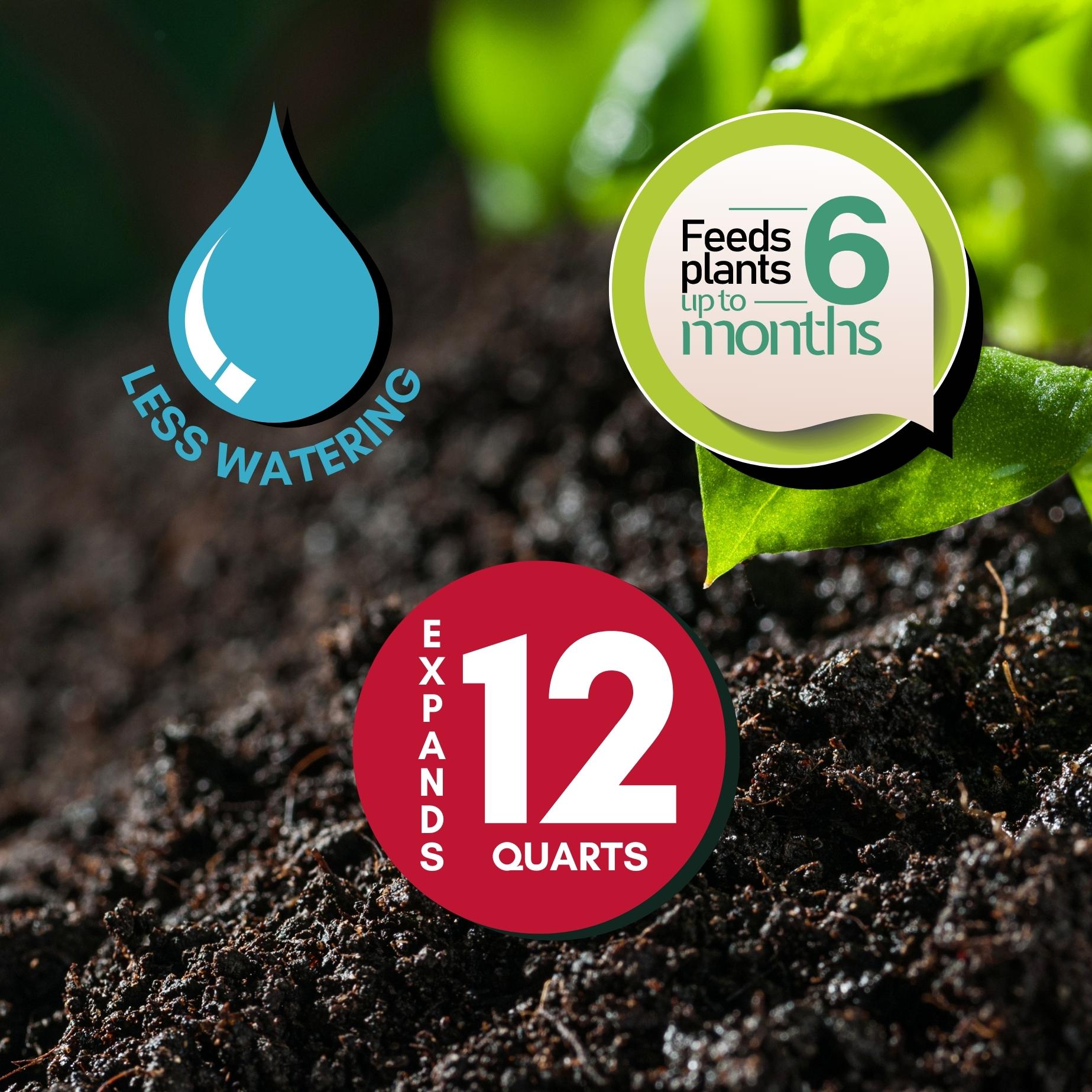 benefits of potting mix Wonder Soil Premium Organic Potting Soil Mix Amendment for Plants, 3 Pound Bag